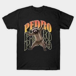 Raccoon Meme Pedro Song Vintage Meme Funny Animal T-Shirt